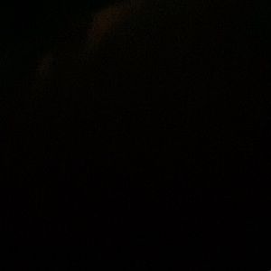 Meet your Posher, Arianna